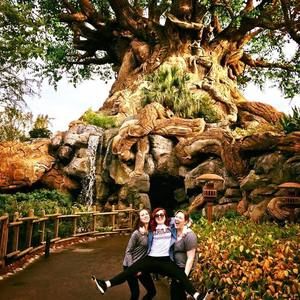 Meet your Posher, Morgan